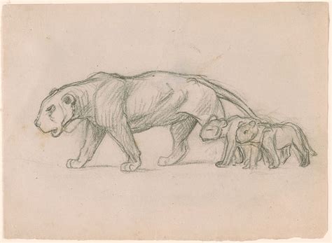 Jean Léon Gérôme Lioness And Her Cubs Drawings Online The Morgan