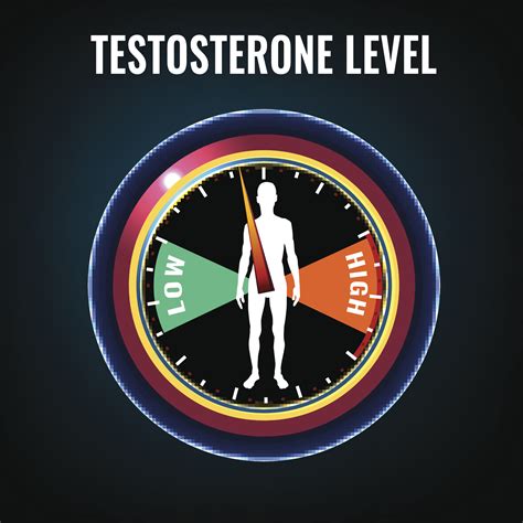 how does sex affect testosterone andro400