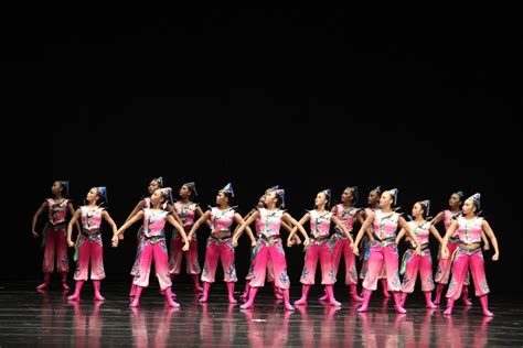 101學年度全國學生舞蹈比賽 舞翼飛揚