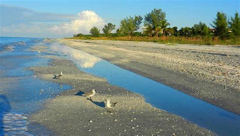 These 9 Things To Do On Sanibel Island Will Help You Experience What