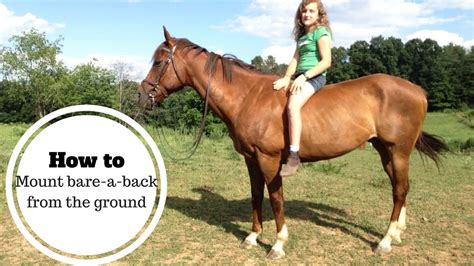 How To Mount A Horse Bare Back From The Ground Youtube