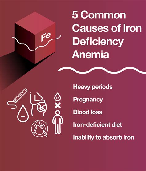 Everything You Need To Know About Iron Deficiency Anemia