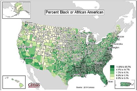 Part 1 Overviews Of The Report And The Black Population Agency For