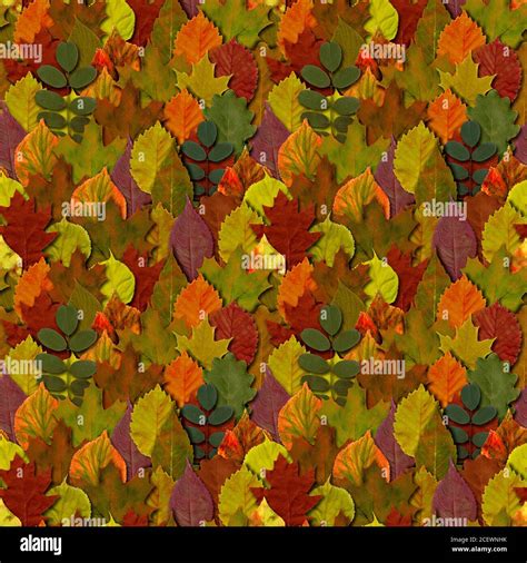 Fall Leaves Seamless Pattern Background Autumn Leaf Colorful Foliage
