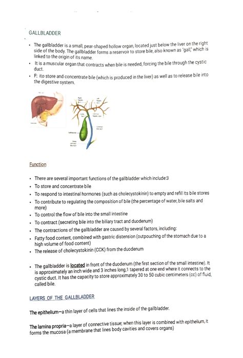 Solution Gallbladder And Biliary Systemanatomy Function Study Notes
