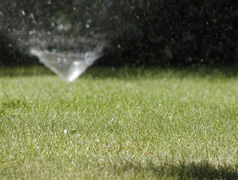 How Much Does It Cost To Install A New Sprinkler System