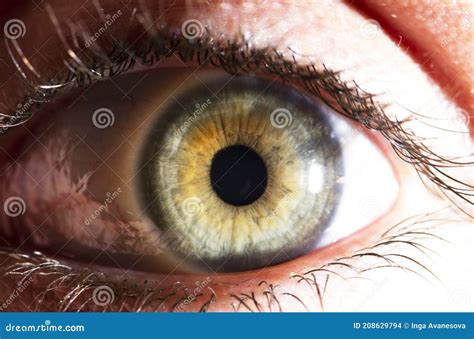 Beautiful Close Up Human Eye Macro Photographybeautiful Close Up