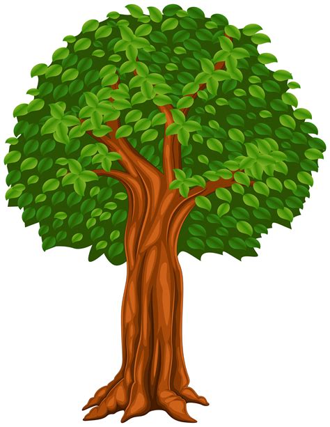 Tree Animated Png