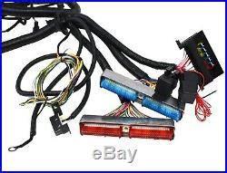 Wiring harness and wiring guide. 99-03 4.8L 5.3L 6.0L GM LS LS1 LS3 SWAP VORTEC STANDALONE WIRING HARNESS With4L60E | Wire Wiring ...