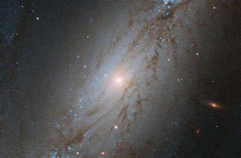 It is considered a grand design spiral galaxy and is classified as sb(s)b, meaning that the galaxy's arms wind moderately (neither tightly nor loosely) around the prominent central bar. Ngc 2608 Galaxy / 2 : Meet ngc 2608, a barred spiral galaxy about 93 million light years away ...