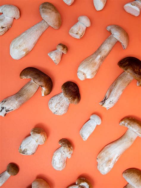 Everything You Need To Know About In Season Porcini Mushrooms