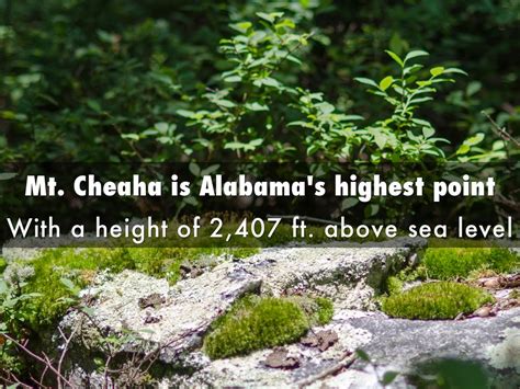 5 Fun Facts About Alabama By Nc3582