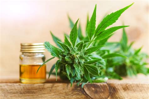 Ok, but what is cbd oil used for? 4 Benefits of CBD Oil for Your Beard - BeardStyle