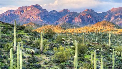 10 American Deserts You Should Know The Discoverer
