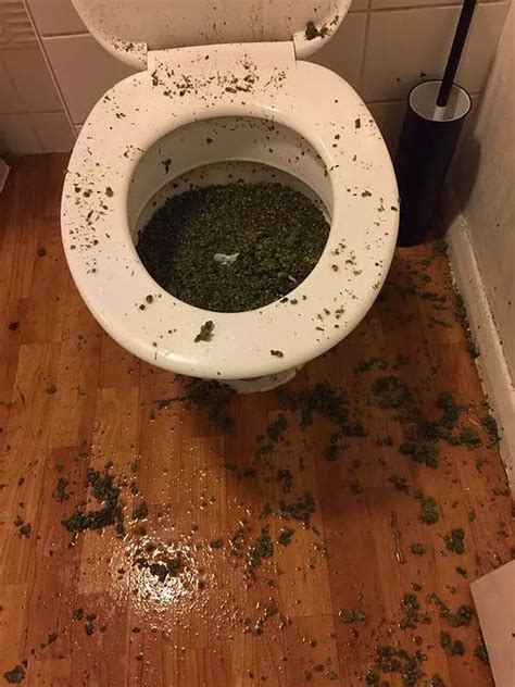 Repulsive Toilet Overflowing With Drugs Found By Cops During London