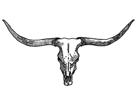 Free Bull Skull Png Download Free Bull Skull Png Png Images Free