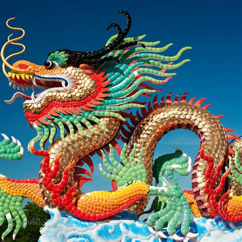 Chinese Dragon Symbol Good Luck