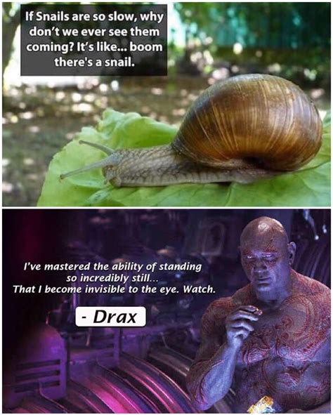 The Best Snail Memes Memedroid