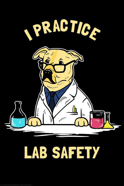 Shop affordable wall art to hang in dorms, bedrooms, offices, or anywhere blank walls aren't welcome. I Practice Lab Safety Labrador Dog Funny Parody LCT ...