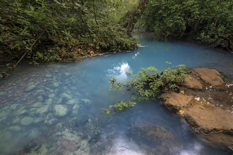 Rio Celeste Waterfall Hike And Tenorio National Park