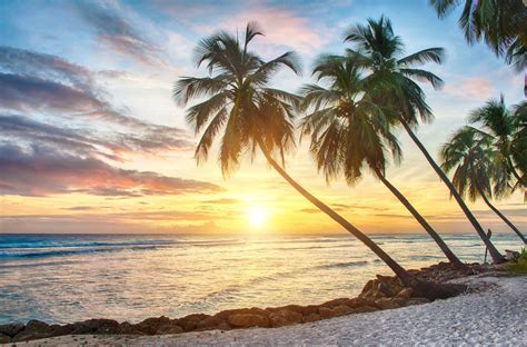 Tropical Paradise Beach Palms Sea Sunset Beach Sea Palm