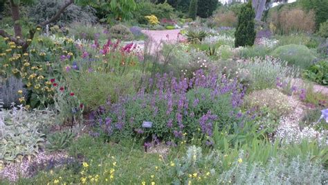 Beth chattos garden | Meadow garden, Garden shrubs, Perennial garden