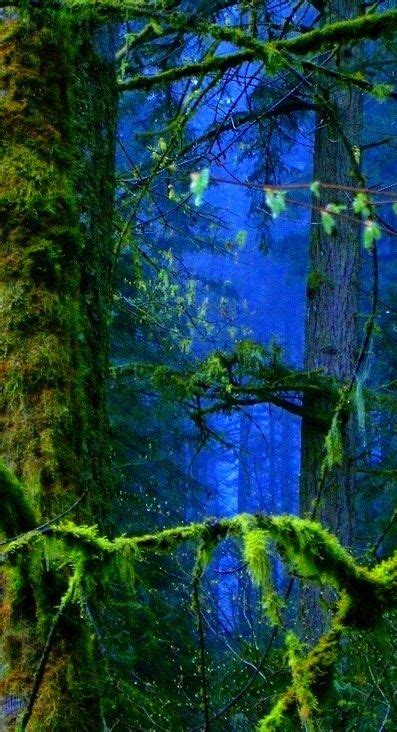 22275 Best Blue And Green Magic Images On Pinterest Blue Green