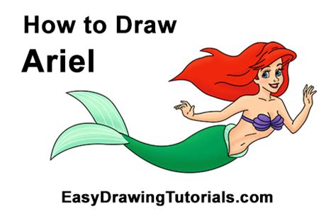 Method 1 of 3 to draw ariel, start by drawing her head and face, including 2 big eyes with thick eyelashes, smiling lips, and a. How to Draw Ariel from The Little Mermaid (Full Body)