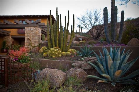 Pin By Cindy Amann On Inspiration Garden Desert Landscaping