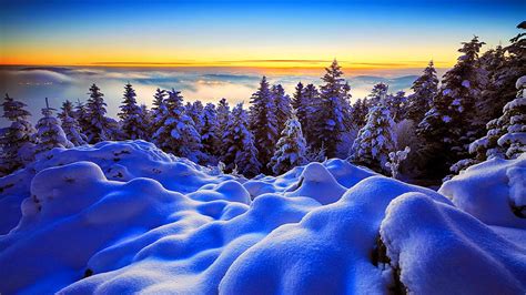 Zimowe Widoki Polskie Góry Zima W Górach Krajobrazy Zima śnieg W Górach