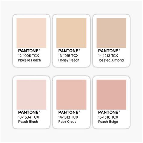 Nude Pink Pantone Color Swatch Pack Sticker For Sale By