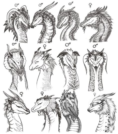 Variations Dragon Art Dragon Artwork Dragon Sketch
