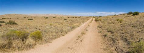 Long Desert Road In Grasslands Stock Photo Image Of Plain Forest