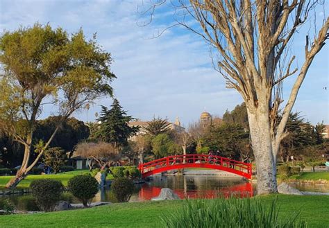 Japones chili available here are not only aromatic and healthy but are absolutely sumptuous when added to foods. Coronavirus en Chile: Jardín Japonés de La Serena cierra ...
