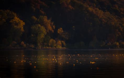 Wallpaper Sunlight Colorful Fall Leaves Sunset Night Lake