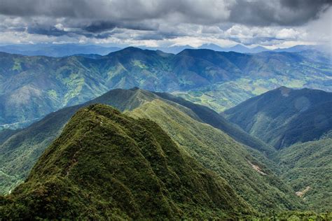 Podocarpus Ecuador National Parks Ecuador Landscape Ecuador