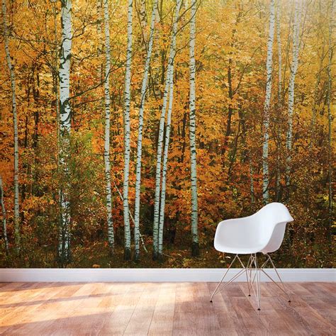 Papier Peint Outils Access Forest Autumn Yellow Birch Forest Wall