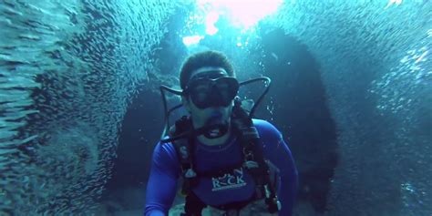 Diver Swims Through Massive Silver Rush Of Fish Huffpost