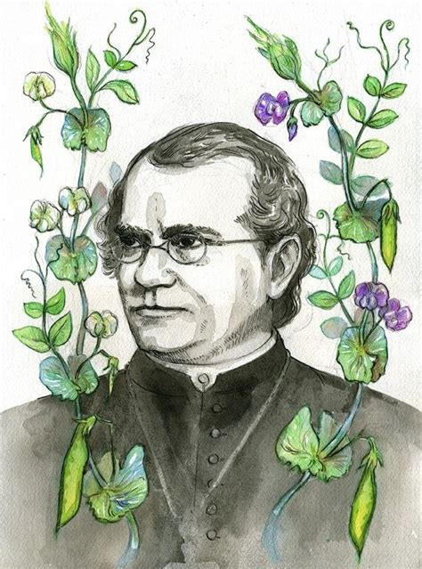 Gregor Mendel With Pea Plants Portrait Scientist Series By Jbarnum