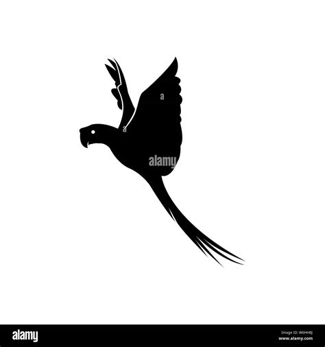 Parrot Outline Black And White Stock Photos And Images Alamy