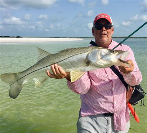 Check spelling or type a new query. 3 Tips To Catching Snook In The Summer (From The Beach)