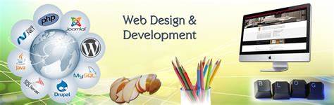 web design & development