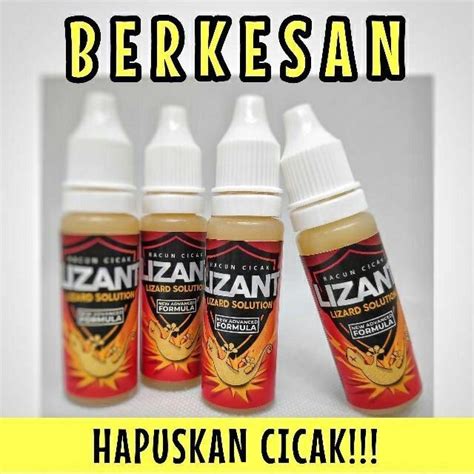 Lizant Ubat Cicak - Harbolnas n