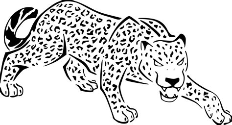 Coloriage Jaguar Et Dessin à Imprimer