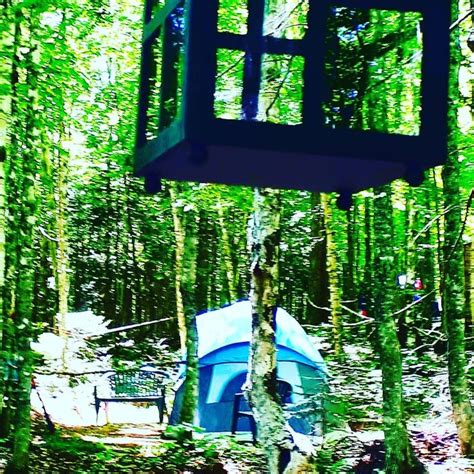 Tentsite On Secluded Wooded Acre Private Camp That S More Than Camping It S An Experience