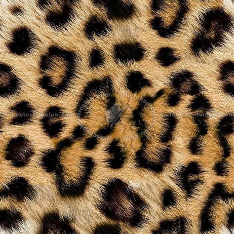 Leopard Faux Fake Fur Animal Texture Seamless 09555