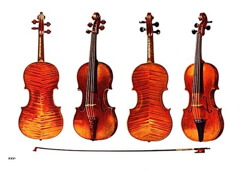 Stradivarius Violins Public Domain Clip Art Photos And Images