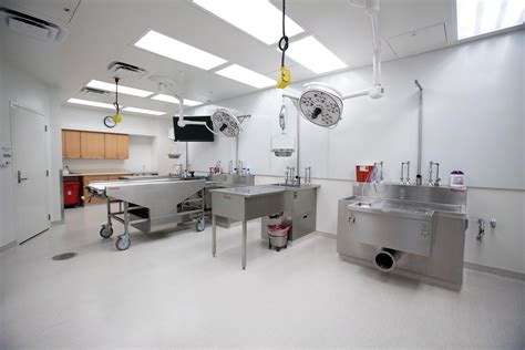Autopsy Suite Gallery Autopsy Services College Of Medicine