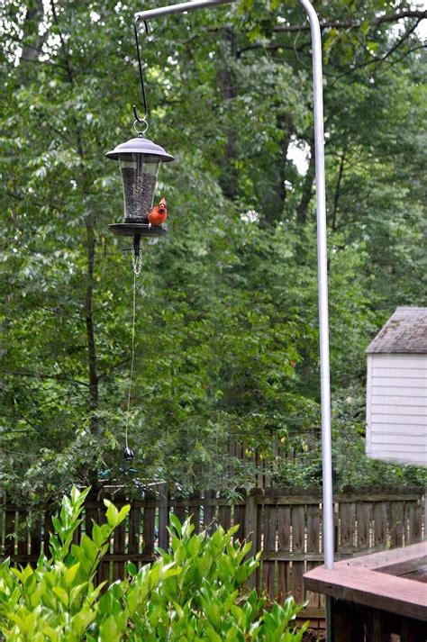 Even more importantly, they fill the garden with chirping little delights that give it a completely different appeal. bird feeder landscaping ideas - Google Search | Bird ...