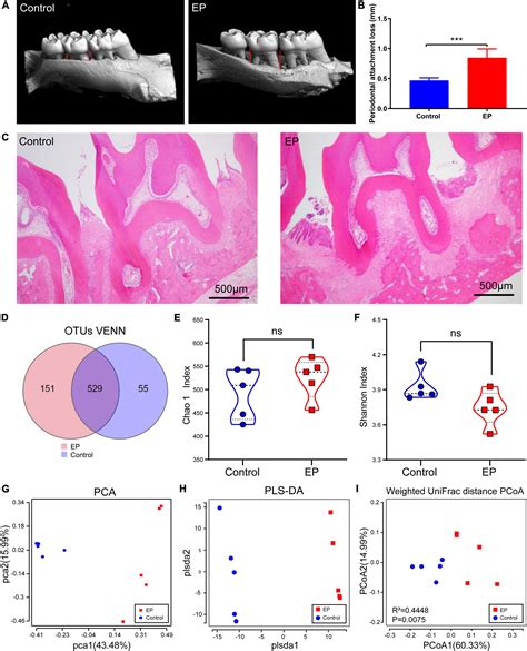 Frontiers Alterations And Correlations Of Gut Microbiota And Fecal